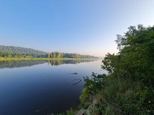Siedlisko na Wzgórzu Noclegi Agroturystyka Borsuki