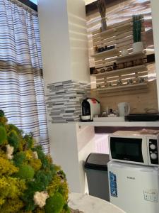 Aqua apartman satu mare