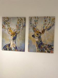 Appartements Gab & Jo II : Appartement 2 Chambres