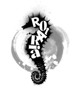 Rota Ria Alojamento Local