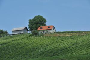 Vineyard Cottage Zdolsek