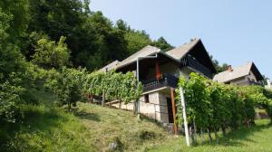 Vineyard Cottage Zajc 