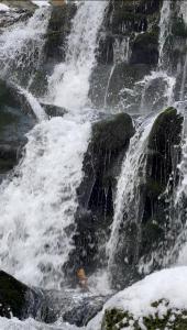 Будиночок-зруб в центрі Пилипця