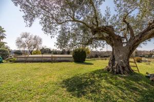 Holiday Home Cohar 