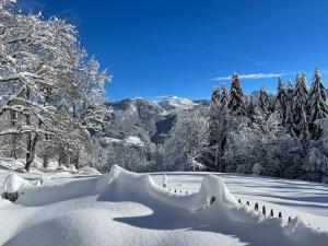 Chalets Chalet Alpage Proche Geneve : photos des chambres