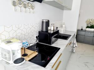 Apartament Chopina