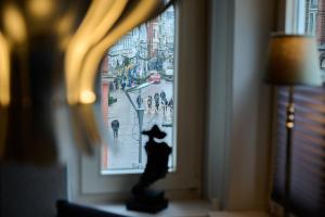 Ferienwohnung KUSCHELNEST
