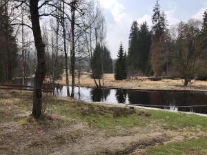 Apartmán 12 Stožec