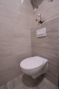 Apartman Darija