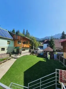 Pensiunea Novac - Bradu