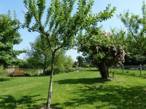 Maisons de vacances Les Guedrils : photos des chambres