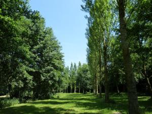 Maisons de vacances Les Guedrils : photos des chambres