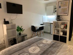 Appartements Nimes studio parking Dhuoda : photos des chambres