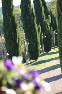 Il Borgo delle Stelle