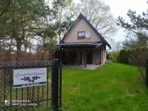 Domek pod Debami - Biebrowo