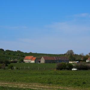 Maisons de vacances La Roseauliere : photos des chambres