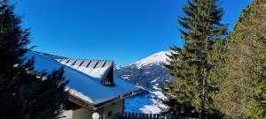 Ferienwohnung 4 Personen Alleinlage am Wald Nähe Skigebiet Hochzeiger