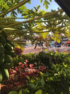 Apartamento Las Vistas Beach - Tenerife Royal Gardens