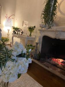 Villas Vieille rose : photos des chambres