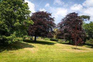 Enchanted Retreats at West Ford Devon