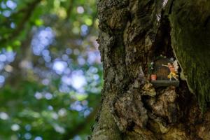 Enchanted Retreats at West Ford Devon