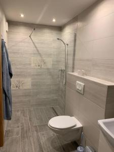 Apartmán na náměstí ,s terasou Králiky