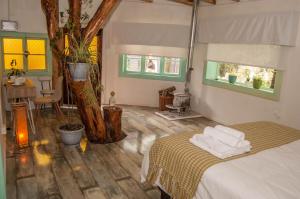 Cabaña & Spa Sentido Vital