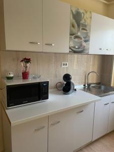 Apartament Amira