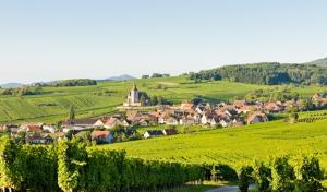 Appartements Relais des Vosges : photos des chambres