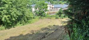 Maisons d'hotes Au coeur du Volcantal : photos des chambres