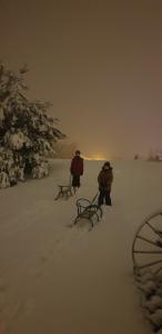 Apartamenty Milenijna 2 MALBORK Nowa Wieś