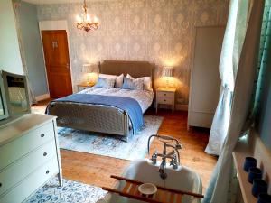 B&B / Chambres d'hotes Logis de Tirac : photos des chambres