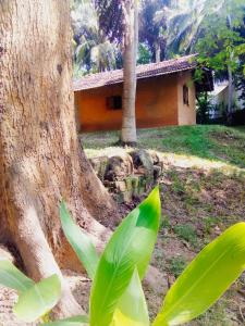 Hidden Well Hiriketiya