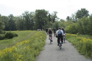 FÜGE-FA-HÁZ VÁSÁROSNAMÉNY - GERGELYIUGORNYA