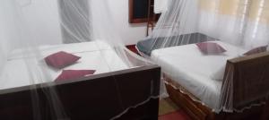 Rainforest Holiday Inn