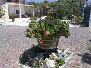 The Green Home Ilia Greece