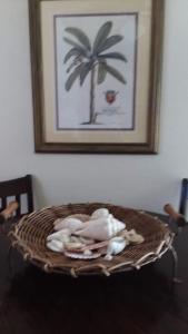 Casa de Tortuga Guesthouse