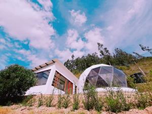 Glamping NIDO VERDE
