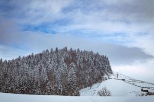 Apartment Skyta Krasnyk