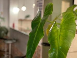 CasaHotel Jockey Plaza Mall