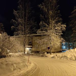 Nilsiä city, Tahko, 80 m2, Include x2 Ski Pass