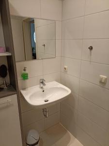 1-Zimmer Apartment in der Nähe vom Petersberg