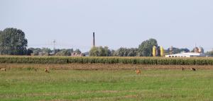 Agroturystyka Żuławiaczek