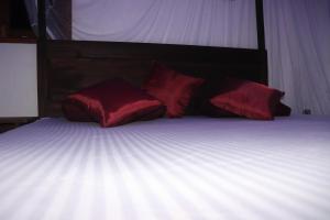 Rainforest River Bay