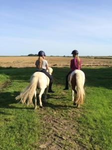 Tetenshof für Pferdeliebhaber