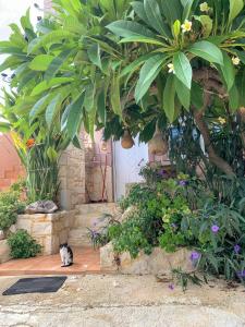 Modern 1-bedroom with BBQ & Roof Garden near Beach