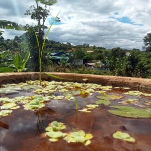 Ratanak Tep Rithea homestay