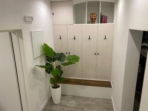 Luxury Villa Sol Mate