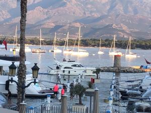 Villas Les galets bleus de Calvi : photos des chambres