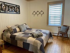 Bel appartement A la croisée des sommets